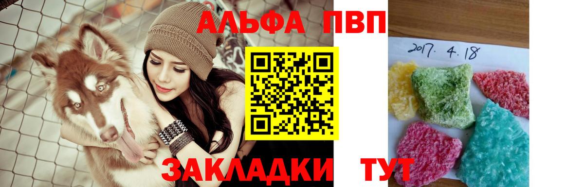 А ПВП крисы CK Анжеро-Судженск