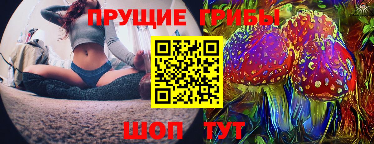 Псилоцибиновые грибы Psilocybe  Вход с VPN  Анжеро-Судженск 